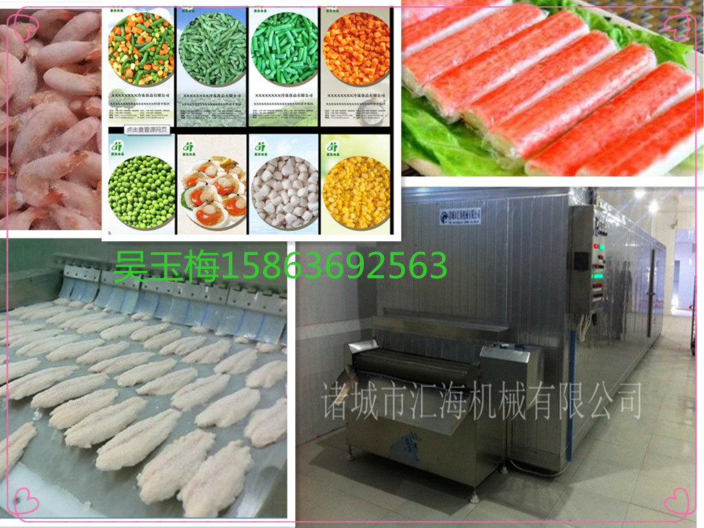 厂家供应水饺速冻机 速冻机小型隧道式 速冻机供应商 质优价廉