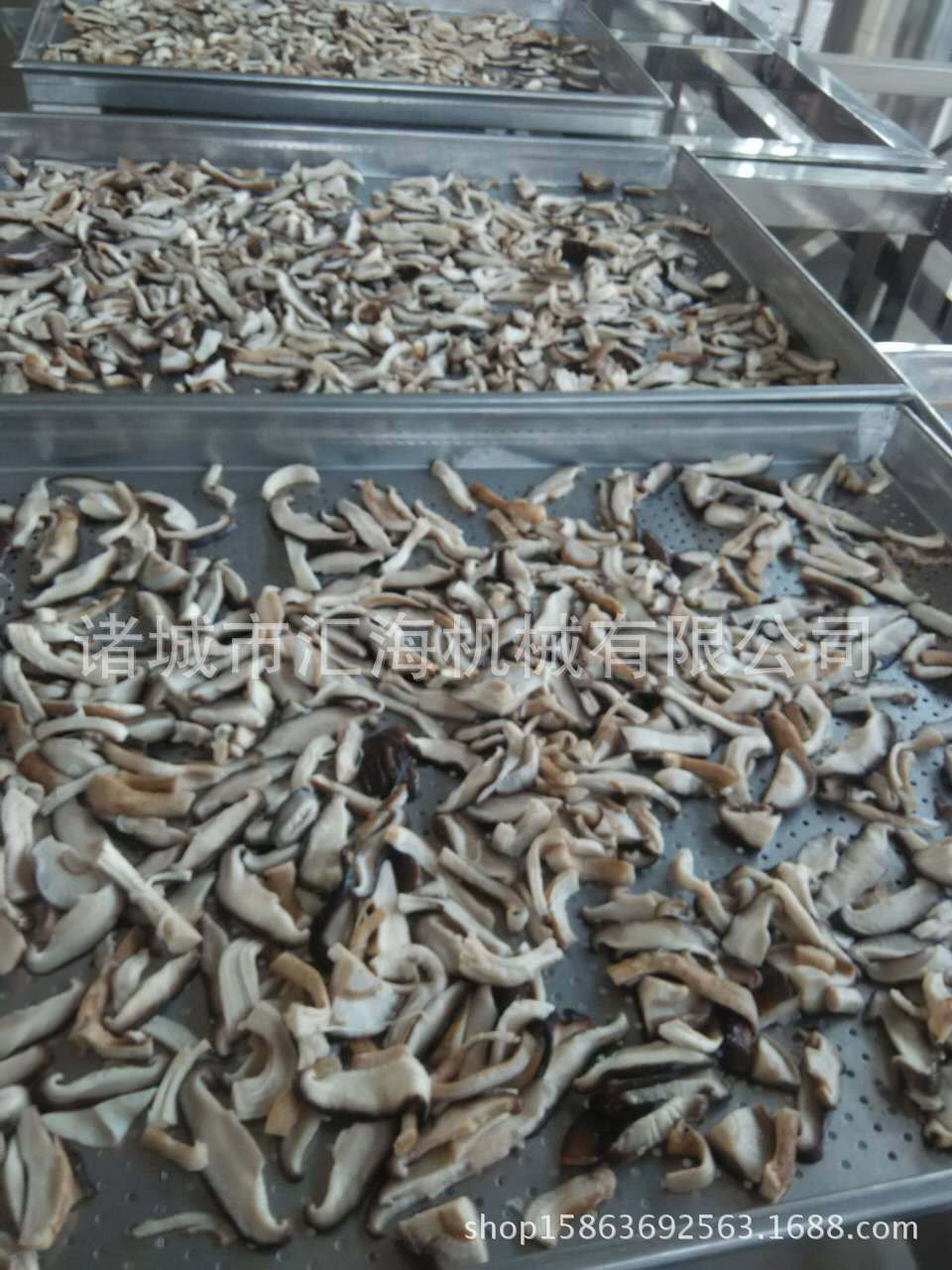 厂家供应水饺速冻机 速冻机小型隧道式 速冻机供应商 质优价廉