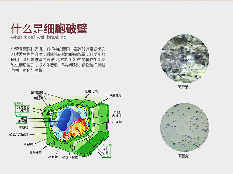 奶茶店商用沙冰机家用冰沙机刨冰碎冰机榨汁搅拌机奶昔现磨豆浆机