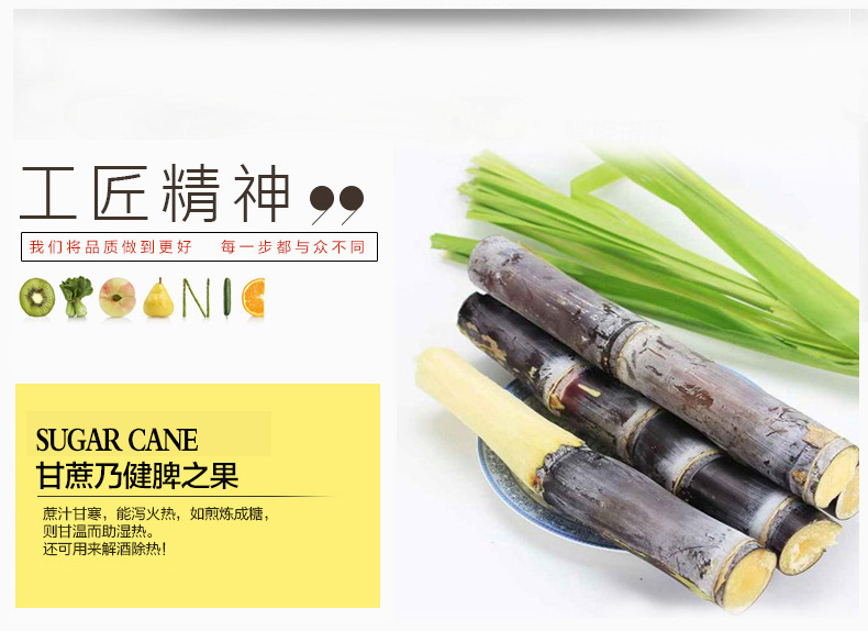 乐创台式电动甘蔗机 不锈钢甘蔗榨汁机榨甘蔗汁压榨机商用带电瓶