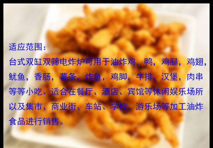 油炸设备燃气炸炉 大容量商用立式控温油炸锅 煤气炸鸡排油炸机