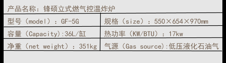 油炸设备燃气炸炉 大容量商用立式控温油炸锅 煤气炸鸡排油炸机
