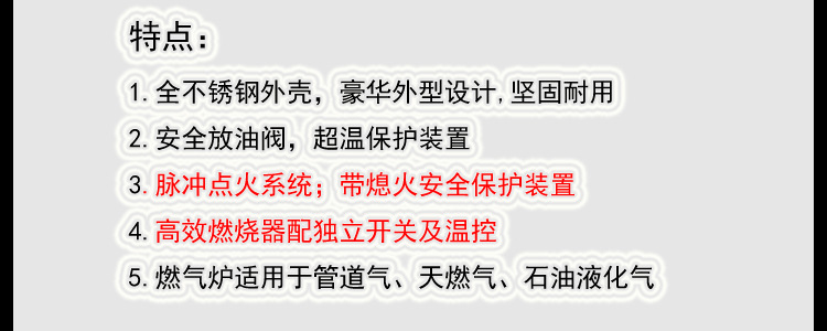油炸设备燃气炸炉 大容量商用立式控温油炸锅 煤气炸鸡排油炸机