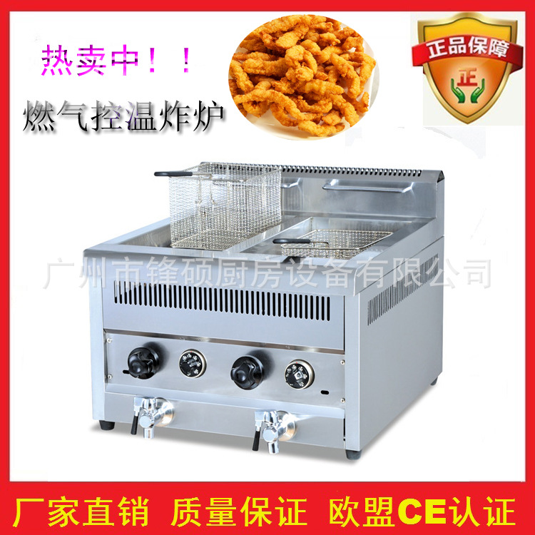 油炸设备燃气炸炉 大容量商用立式控温油炸锅 煤气炸鸡排油炸机
