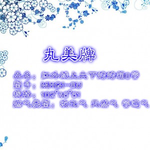 2014 热款丸美牌商用烤鱼炉 8头燃气红外线面火炉 上火下烤式烤箱