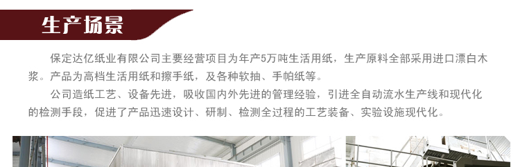 卫生纸厂家直销百慧商务用纸洗手间大盘纸大卷纸小卷纸700克木浆