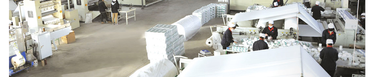 卫生纸厂家直销百慧商务用纸洗手间大盘纸大卷纸小卷纸700克木浆