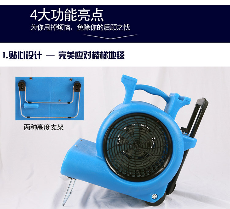 详情 (12)