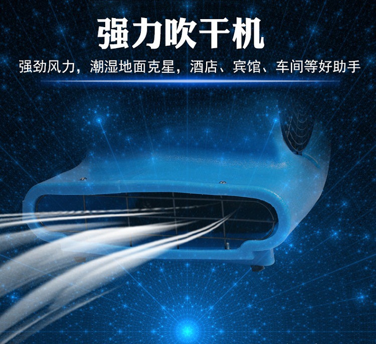 详情 (6)