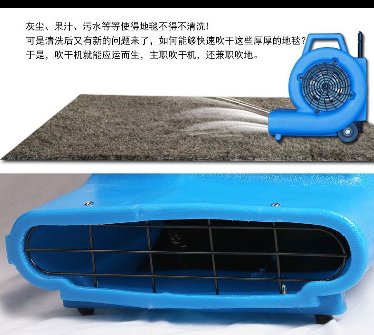 详情 (11)