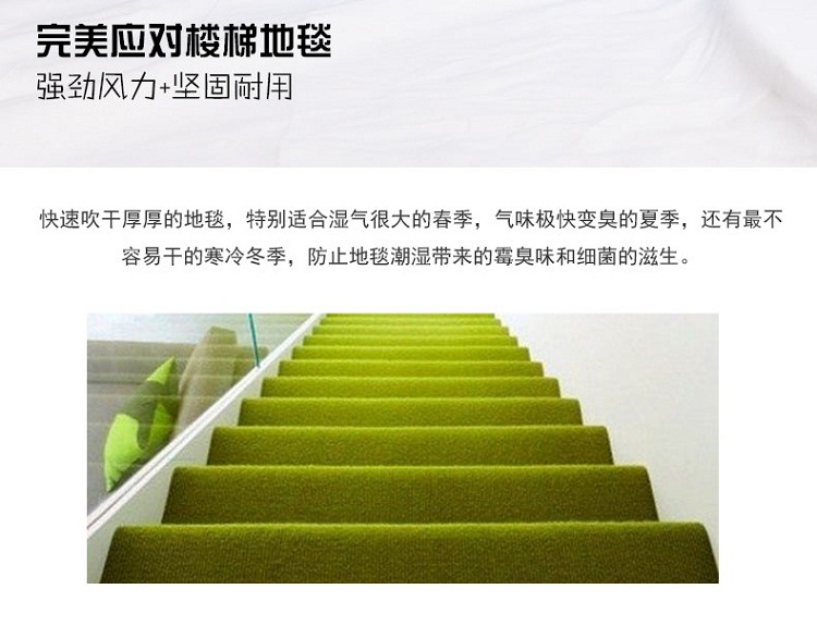 详情 (12)