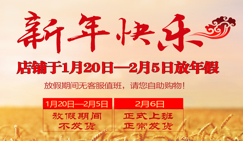 迷你电磁炉 小电磁炉 小型火锅泡茶炉 煮茶炉