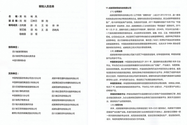 《四川省互联网行业发展状况报告》摘要